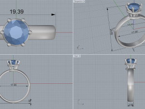 ring 6 3D Print Model