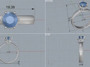 ring 6 3D Print Model