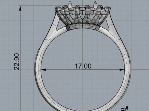 ring 8 3D Print Model