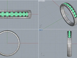 ring 9 3D Print Model