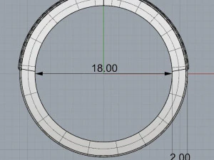 ring 11 3D Print Model
