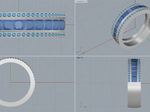 ring 11 3D Print Model