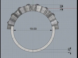 ring 12 3D Print Model