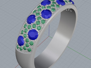 ring 13 3Dプリントモデル