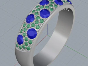 ring 13 3D Print Model