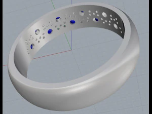 ring 13 3D Print Model
