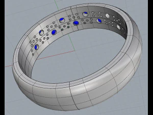 ring 13 3D Print Model