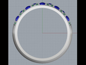 ring 13 3Dプリントモデル