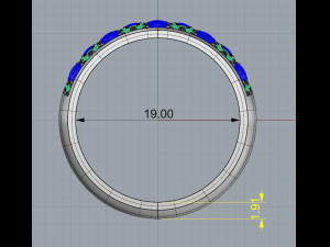 ring 13 3Dプリントモデル