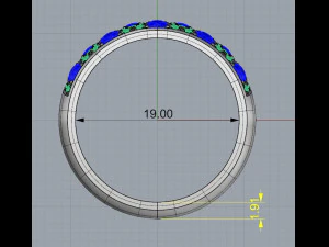 ring 13 3D Print Model