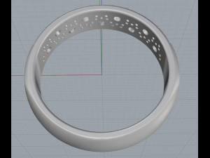 ring 13 3Dプリントモデル