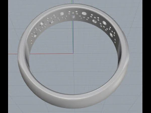ring 13 3D Print Model
