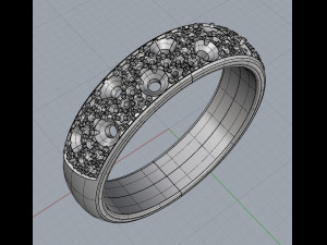ring 13 3Dプリントモデル