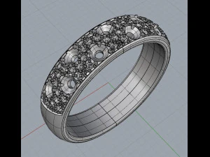 ring 13 3D Print Model