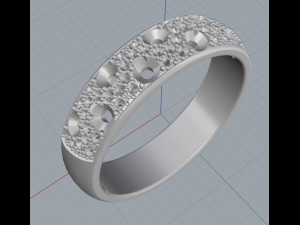 ring 13 3Dプリントモデル