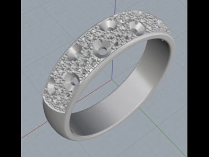 ring 13 3D Print Model