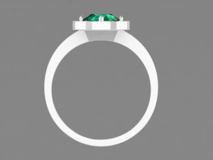 ring 14 3D Print Model