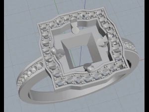 ring 14 3D Print Model