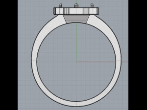 ring 14 3Dプリントモデル