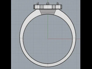 ring 14 3D Print Model