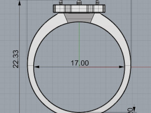 ring 14 3Dプリントモデル