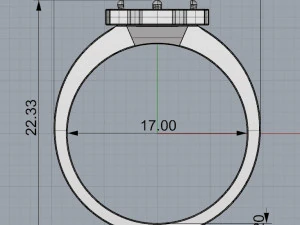 ring 14 3D Print Model