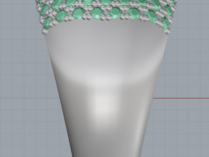 ring 19 3D Print Model