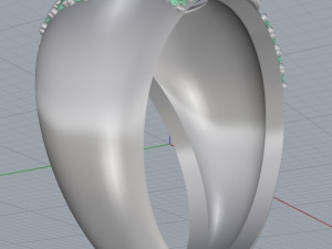 ring 19 3D Print Model