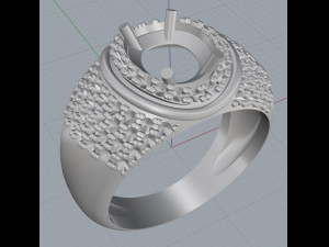 ring 19 3D Print Model