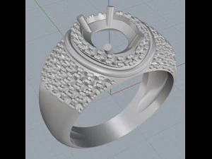 ring 19 3D Print Model