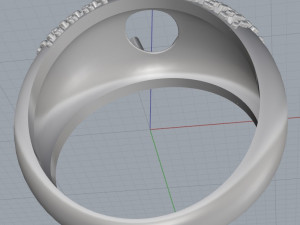 ring 19 3D Print Model