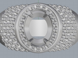 ring 19 3D Print Model