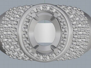ring 19 3D Print Model