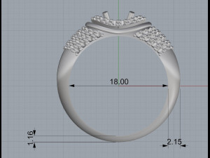 ring 19 3D Print Model