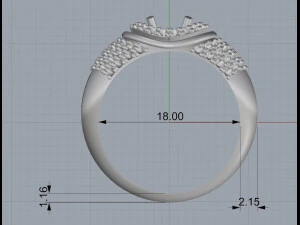 ring 19 3D Print Model