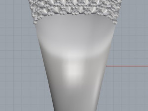 ring 19 3D Print Model