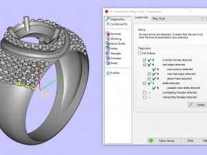 ring 19 3D Print Model