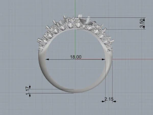 ring 18 3D Print Model