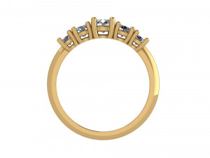 ring 17 Modèles 3D en vedette