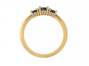 ring 16 3D Print Model