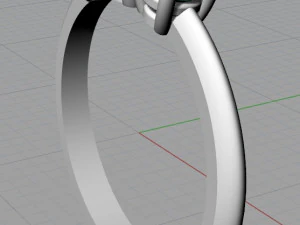 ring 16 3D Print Model