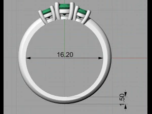 ring 16 3D Print Model