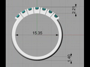 ring 15 3D Print Model
