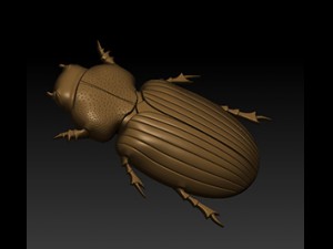 beatle 3D 模型