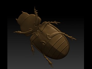 beatle 3D 模型
