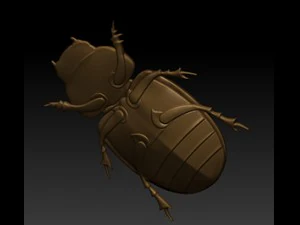 beatle 3D Model