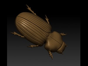 beatle 3D 模型