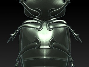 beatle 3D 模型