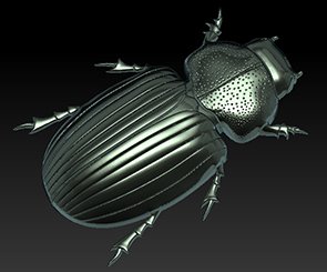 beatle 3D 模型 .c4d .max .obj .3ds .fbx .stl .blend 