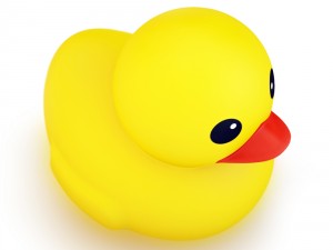 rubber duck 3D 모델